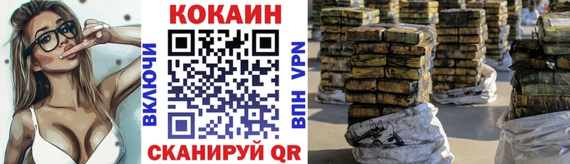 Купить закладки  Сафоново  Cocaine Эквадор 