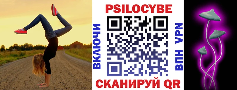 Купить закладки  Сафоново  Псилоцибиновые грибы мицелий 